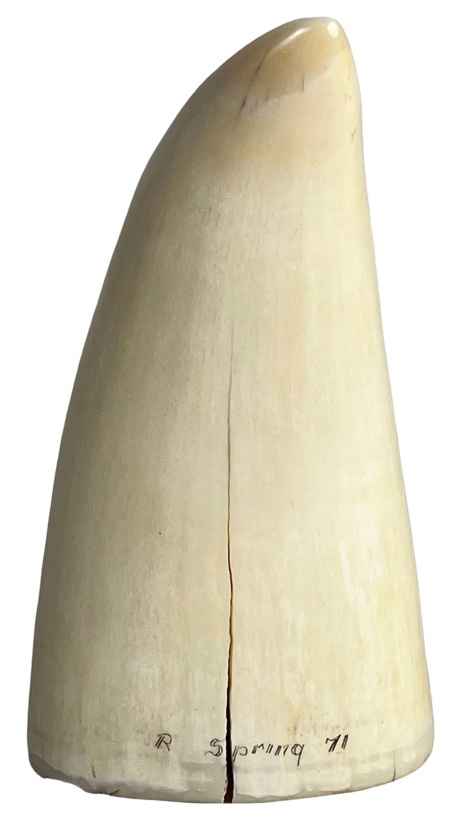 Robert Spring- Scrimshaw Whale Tooth - 3