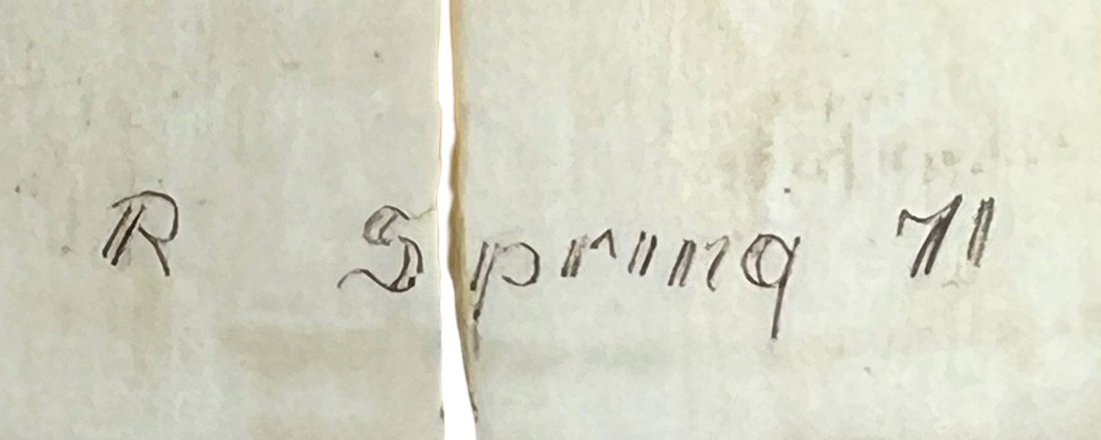 Robert Spring- Scrimshaw Whale Tooth - 4