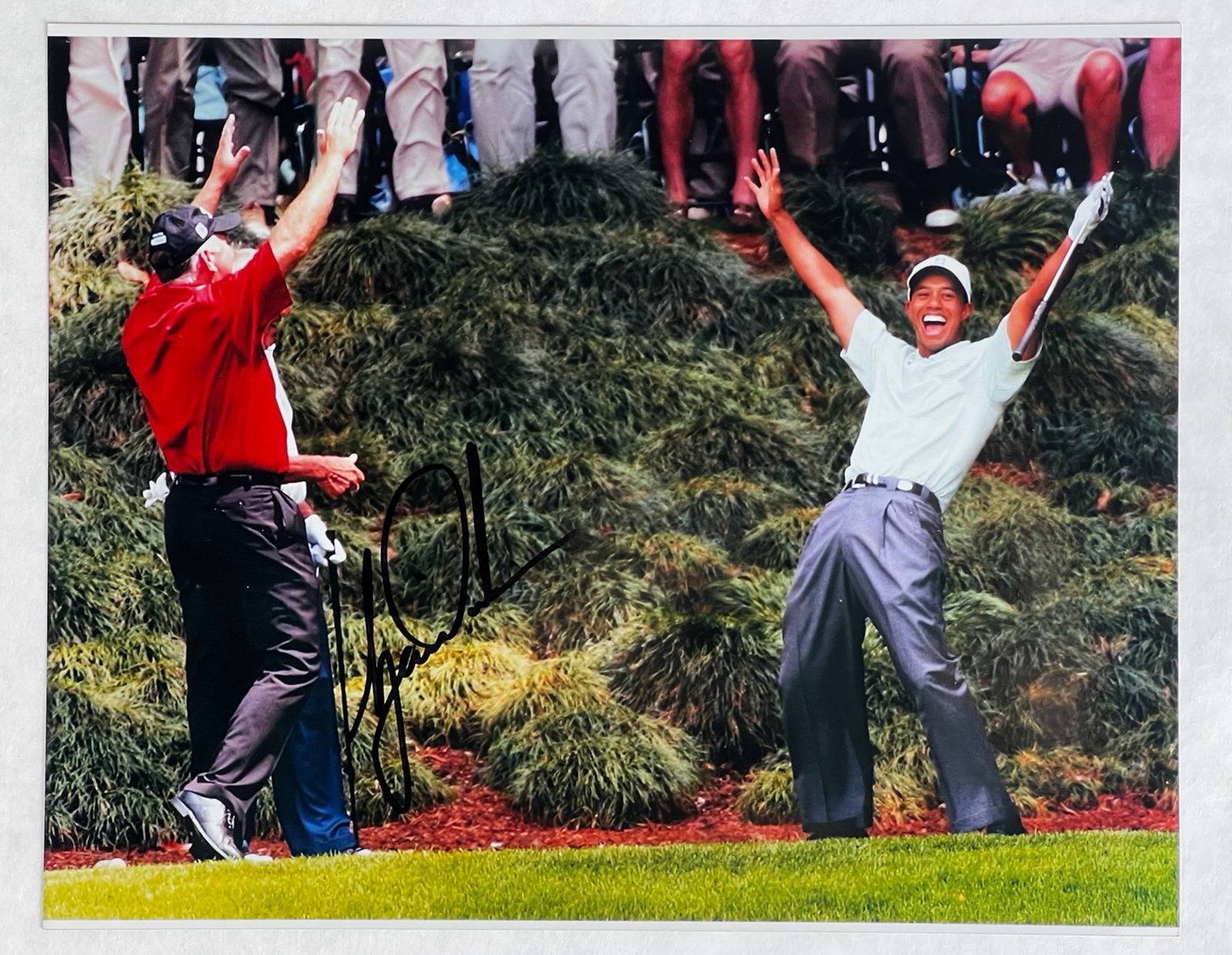 Tiger Woods Signed "Victory" Golf Photograph: Color photograph capturing Tiger Woods in an iconic victory moment on the course, celebrating with arms raised. This dynamic image reflects one of the defining scenes of his championship career, makin