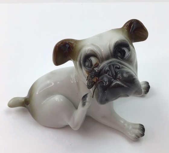 Antique Sitzendorf Germany Bulldog Figure Antique 1859 (1 of 6)
