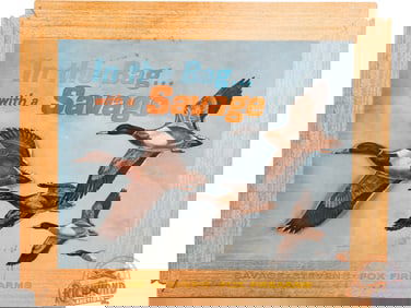 Savage Stevens Fox Firearms "In the Bag? with a Savage" Cardboard Display Sign Mallard Ducks