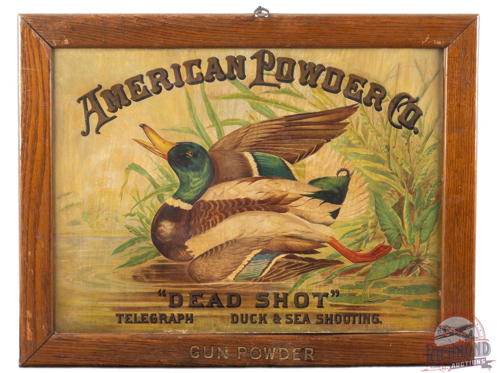 Rare American Powder Co "Dead Shot" Telegraph Duck & Sea Shooting Framed Cardboard Sign: Incredibly rare cardboard poster by American Powder with striking color and mallard graphic. Exhibits general age wear including some discoloration and surface wear, predominately along the right and 