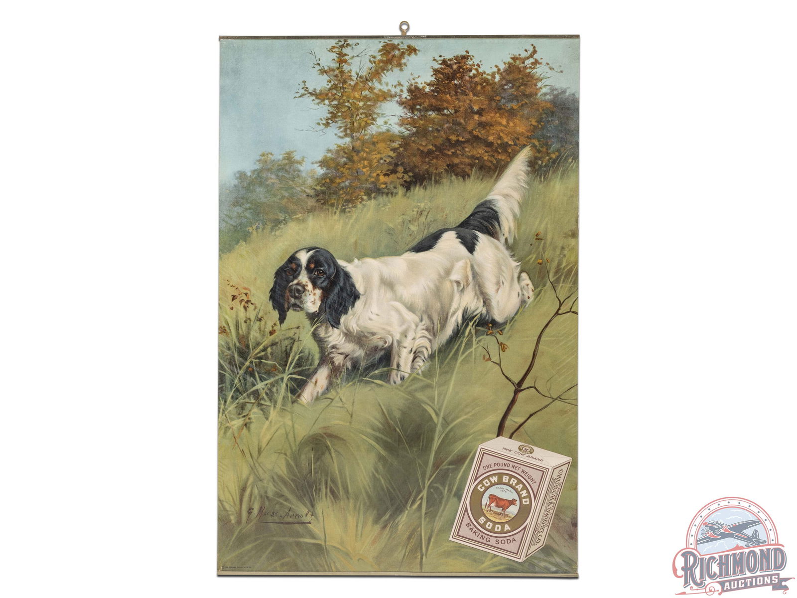 Cow Brand Baking Soda Canvas Poster w/ English Spaniel by G. Muss-Arnolt: Excellent canvas lithograph advertising sign featuring an English Spaniel on the hunt by renowned artist Gustav Muss-Arnolt and a One Pound Net Weight Box of Cow Brand Baking Soda. Great color and gra