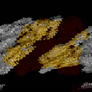 40.5 g Gold Nugget: Deep in the West Australian Goldfields, this exceptional 40.5g alluvial gold nugget was uncovered by a dedicated prospector using a high-frequency metal detector. The search had been long and challeng
