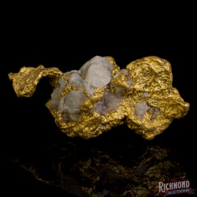 13.5 gram Natural Gold Nugget Detached From A Rich Quartz Vein