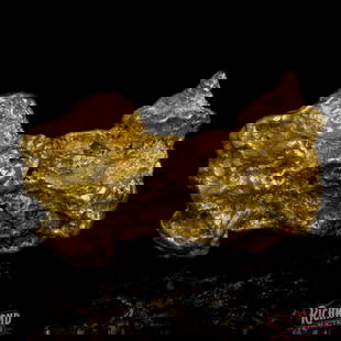 18.5 g Gold Nugget: This 18.5g alluvial gold nugget, found in the heart of The Golden triangle, is a naturally textured beauty with a rich history. Formed over centuries by the forces of water and time, its bumpy, rugged