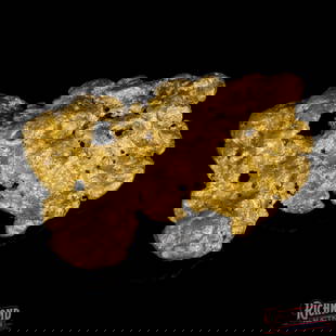 12.1 g Gold Nugget: This nugget weighs 12.1 grams and has a purity of 92%. This nugget was found at an incredibly rich gold mine that has been mined on and off since the original gold. It has been opened and closed many