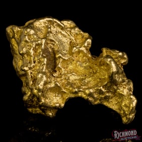 53.5 gram Golden Triangle Alluvial Nugget w/ Exceptional Shine