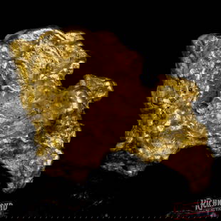 53.5 g Gold Nugget: Pulled from the legendary Victorian Golden Triangle, this 53.5-gram alluvial nugget is a stunner that captures the raw beauty and untamed spirit of Australia's most famous goldfields. Found by an old-