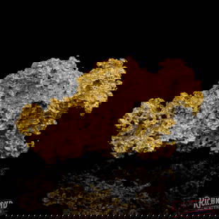 258 g Gold Nugget: This nugget weighs 258 grams and has a purity of 98%, that is extremely high purity for a natural nugget. This nugget is an extraordinary example of gold not doing what it is supposed to do. It was fo