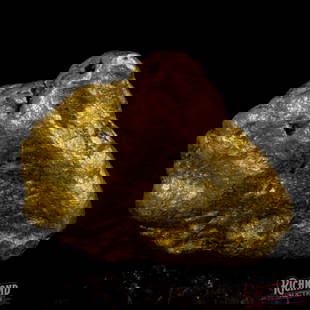 20.57 Gold Nugget: This nugget weighs 20.57 grams and has a purity of 92% and was discovered at a remarkably rich gold deposit that has been worked intermittently since the original gold rush. The site has reopened mult