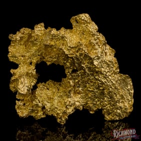 Rare 70 gram Uniquely Shaped Alluvial Gold Nugget w/ Extreme Shine