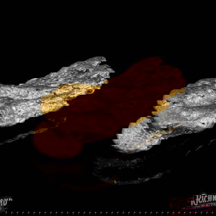 45.9 g Gold Nugget: This 45.9-gram alluvial gold nugget and 95% purity is a true relic of the remote Pilbara outback, where only the most dedicated prospectors survive to uncover nature's hidden treasures. With its soft,