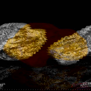 29.8 g Gold Nugget: This 29.8g nugget is from the North Murchison/Southern Pilbara and it is about as remote as it gets. It was found by full time prospectors living in the remote outback at their mining operation. Their