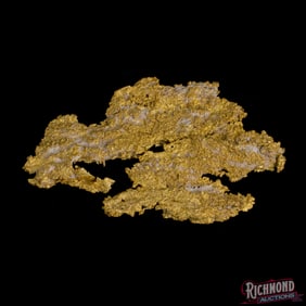 149 gram Rare Large Reef Gold Nugget Extracted From Quartz Vein (4.7 oz)