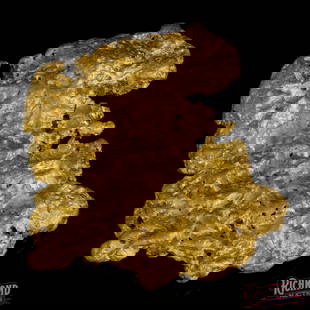 53.4 g Gold Nugget: This 53.4g alluvial nugget has a 92% purity, it feels heavy in the hand and stands out with natural ridges and pockets, the kind you can't fake. It's the perfect mix of bush-formed character and inves