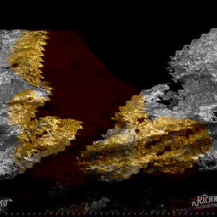 89 g Gold Nugget: Here's a bonza slab of Aussie gold - an 89-gram alluvial nugget pulled straight from the rich, goldfield the Golden Triangle. This nugget was uncovered by a hard-as-nails prospector who was incredibly