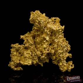 Very Large 134 gram Gold Nugget w/ Excellent Luster (4.3 oz)