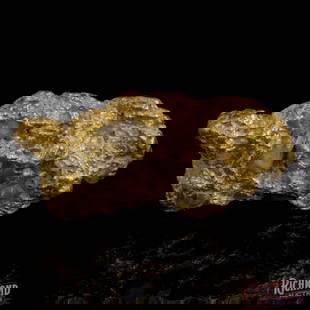5.8 g Gold Nugget: This 5.8g nugget is a true specie piece, blending 92% pure gold with 1 gram of host rock still attached, offering raw, earthy beauty straight from Kalgoorlie's famed goldfields. Found in a narrow gull