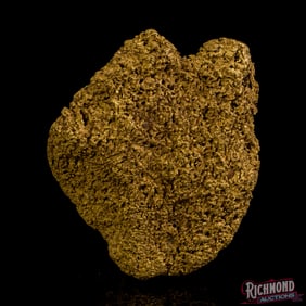 Extremely Rare 145 gram Large Sponge Nugget Found by the MahoneyÕs (4.6 oz)