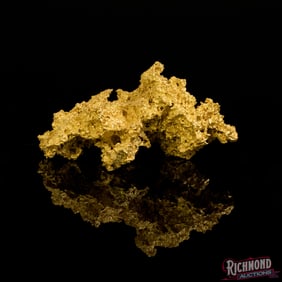 Very Rare 233 gram High Purity Investment Grade Gold Nugget (7.4 oz)