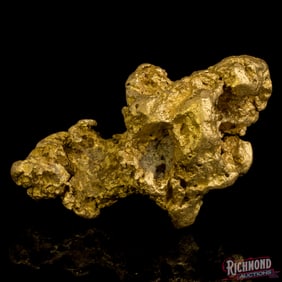 63.5 gram Alluvial Gold Nugget w/ Excellent Character (2.0 oz)