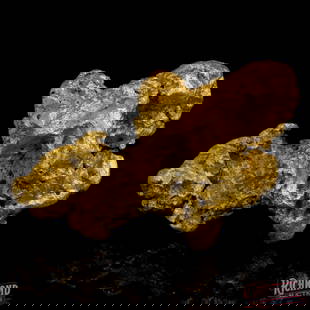 63.6 g Gold Nugget: This beautiful 63.6-gram alluvial nugget, unearthed in the legendary Kalgoorlie Goldfields, Western Australia. This nugget was found by a full time prospector. Sitting at 92% purity, this nugget has a