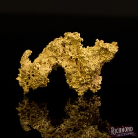 Rare 322 gram Monster High Purity Gold Nugget (10.3 oz)