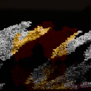 322 g Gold Nugget: At 322g, this nugget is an incredibly rare giant, for most prospectors nuggets like this are once in a lifetime finds but this incredibly lucky prospector who discovered this nugget was luckier than m