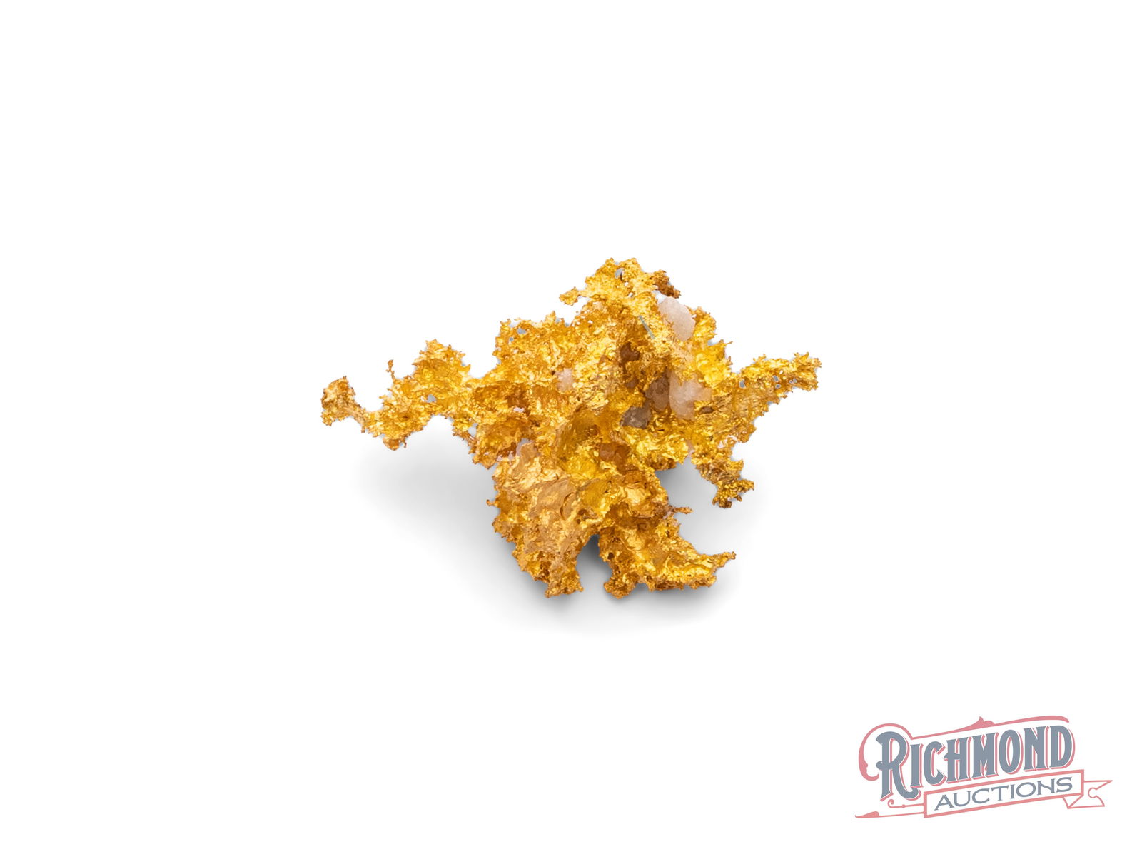 8.5g Intricate Reef Gold Nugget (1 of 2)