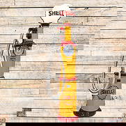 Amazing National Simplex Model #60 Clockface Gas Pump Restored Shell Gasoline: National Simplex Model #60 clockface gas pump has been professionally restored. The pump features an outstanding restoration with high attention to detail. The paint is vibrant and presents with