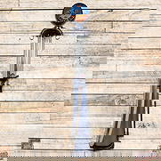 Ten Gallon Visible Gas Pump Restored Rio Grande Gasoline: Ten gallon visible gas pump has been professionally restored. The pump features bright paint with high gloss and custom pinstriping. The overall finish is clean with a gold paint drip along one side