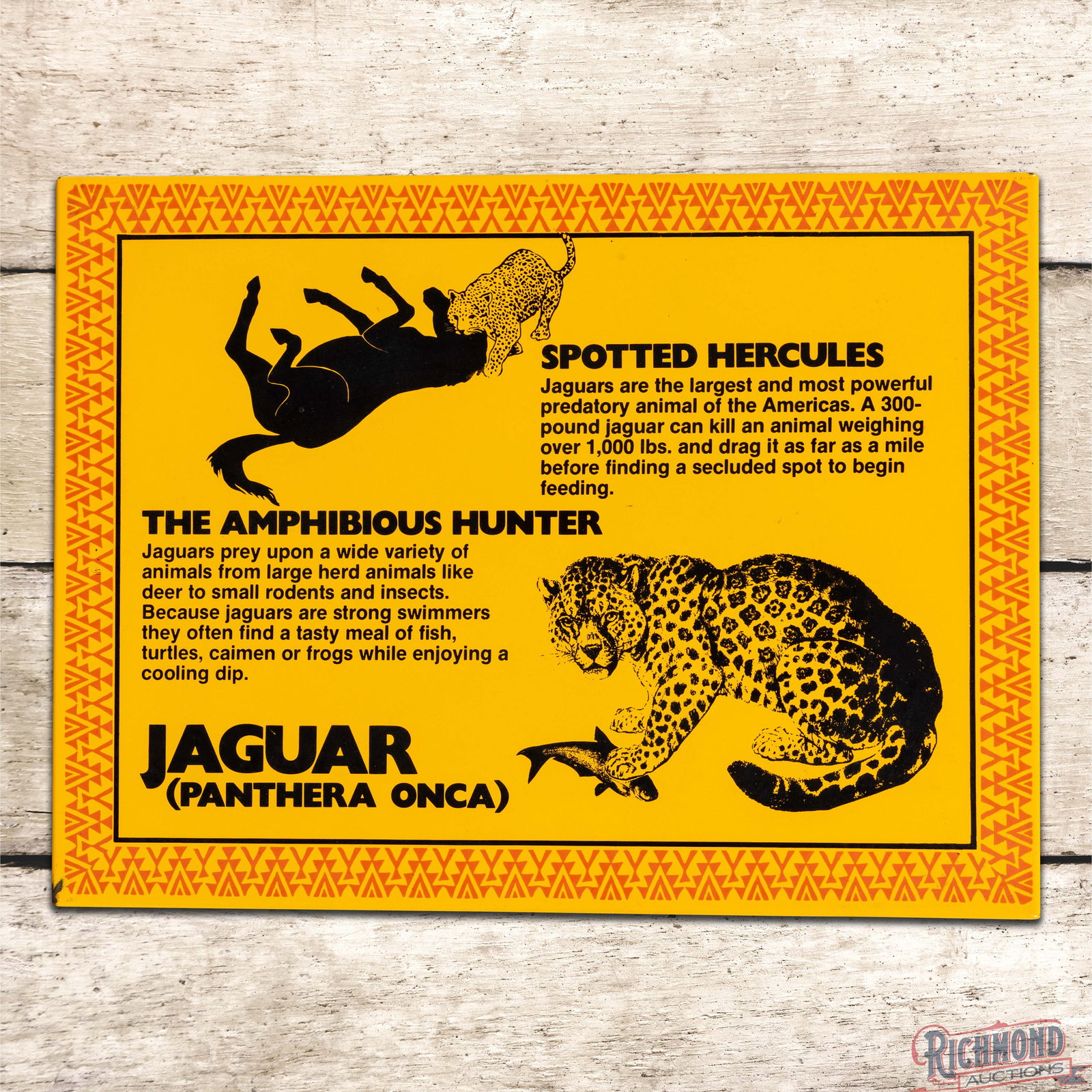 Little Rock Zoo Jaguar Spotted Hercules 24" Single Sided Porcelain Sign: SSP (single sided porcelain) rolled-edge sign has outstanding color and gloss. The field features a large Jaguar graphic with various prey. The display is very clean overall with minor surface imperfe