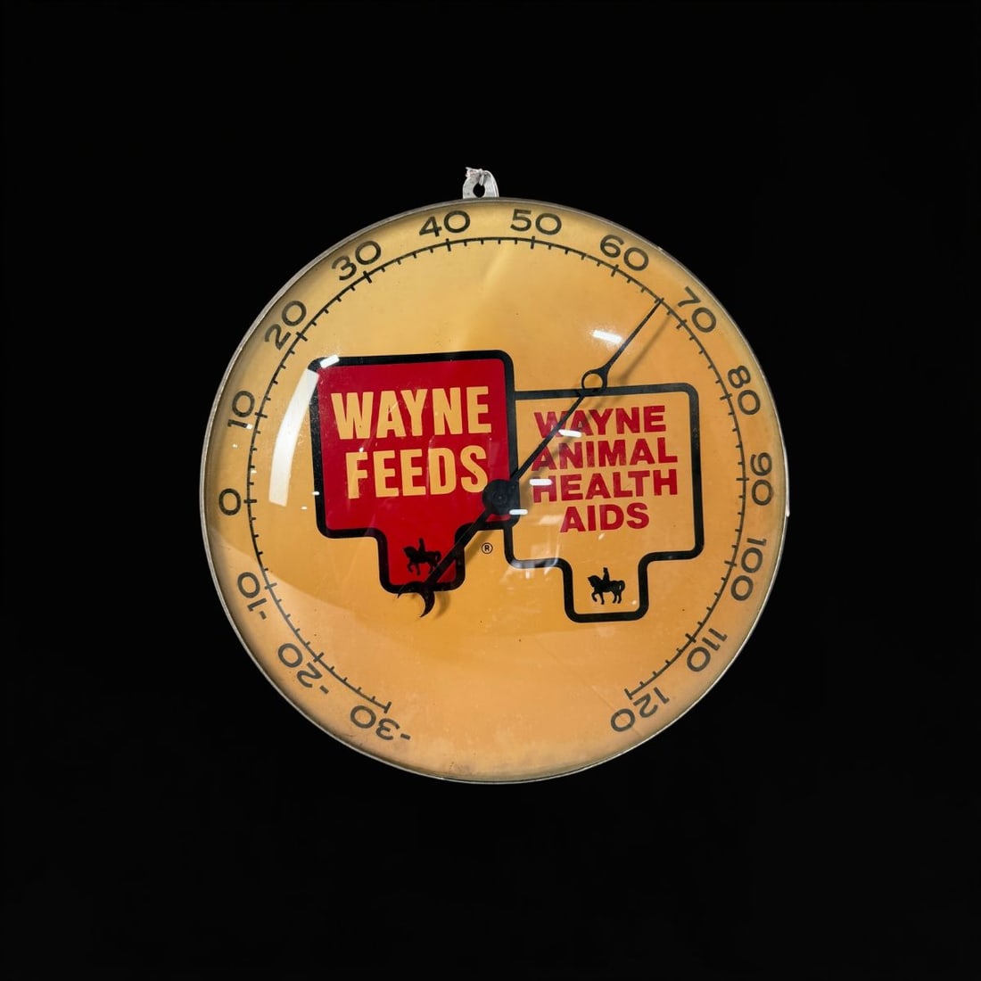 Wayne Feeds Animal Health Aids Thermometer: Wayne feeds working thermometer. 12" H. All items are eligible for free delivery to Rustbelt Americana in East Moline, IL on 8/6-7 or other shows that Richmond Auctions attends. Size 12" H Medium Tin
