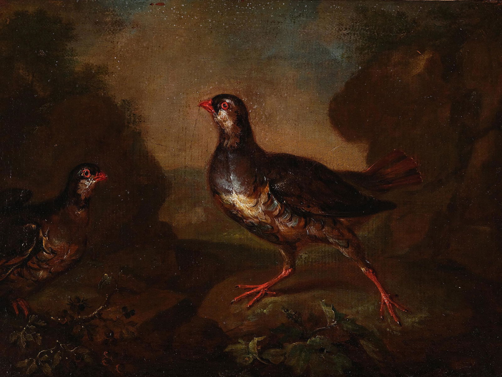 Philipp Ferdinand de Hamilton, Brussels 1666 - 1750 Vienna, Partridge (1 of 3)