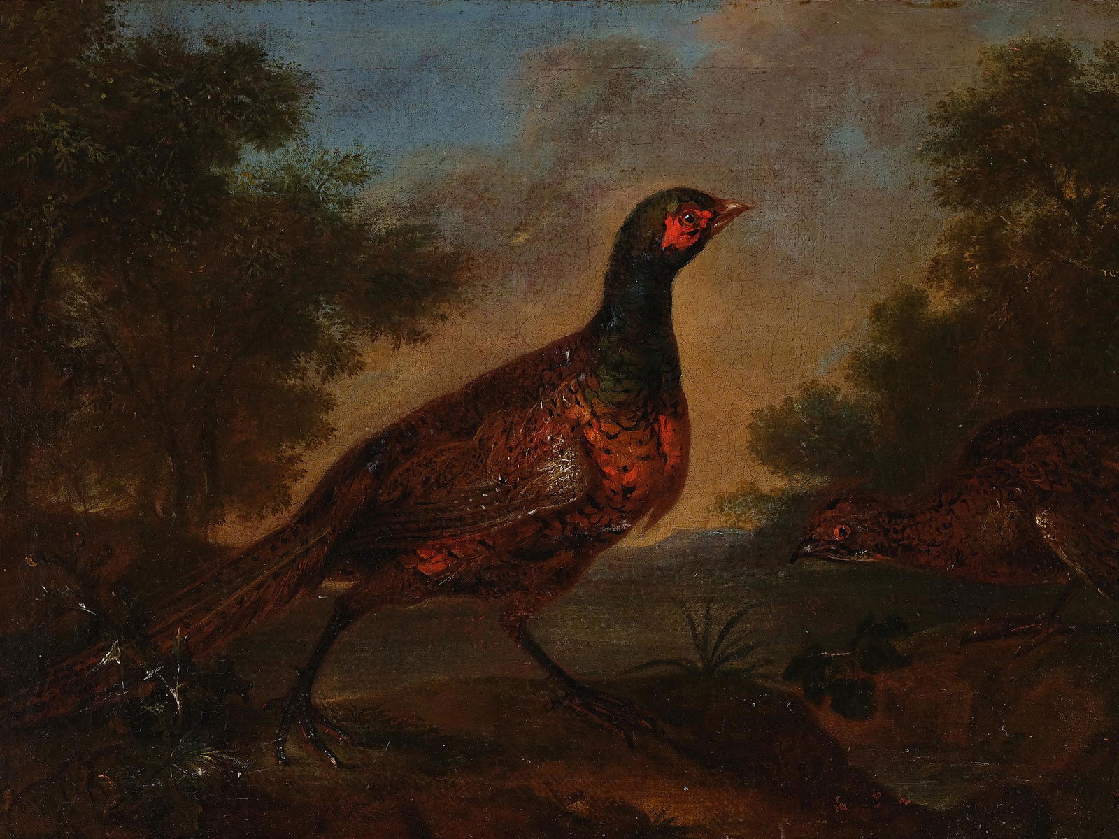 Philipp Ferdinand de Hamilton, Brussels 1666 - 1750 Vienna, Pheasants (1 of 3)