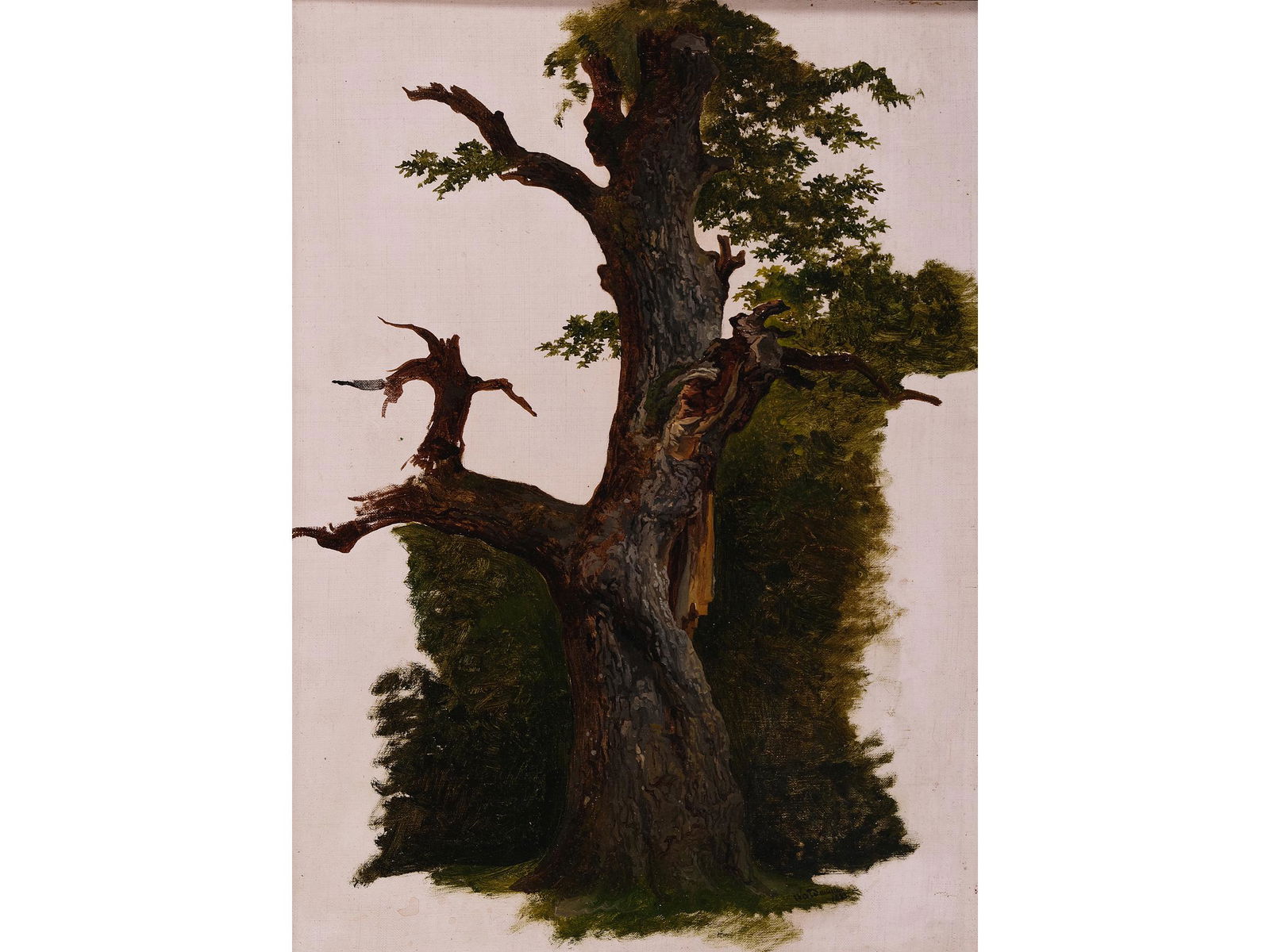 Ferdinand Georg Waldmueller, Vienna 1793 - 1865 Hinterbruehl, attributed, Tree study (1 of 3)
