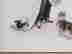 item-130752276=4