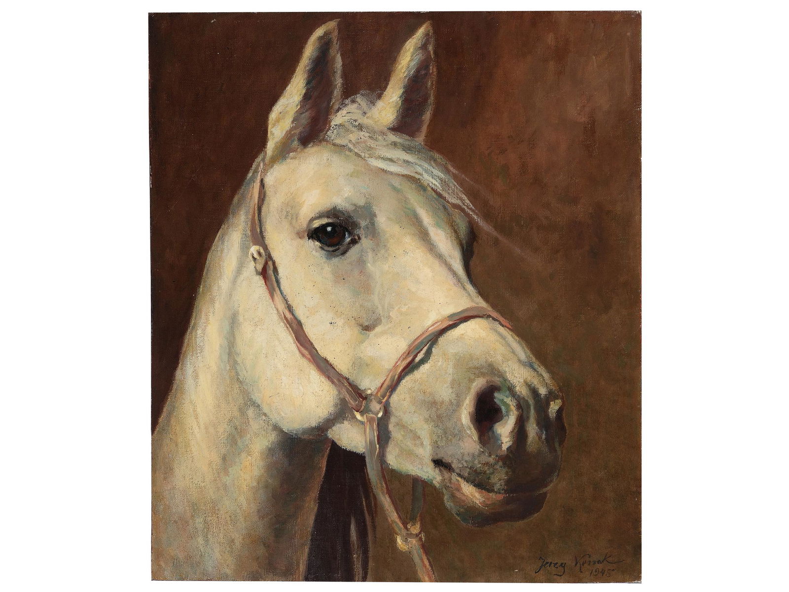Jerzy Kossak,  Krakau 1885 - 1956 Krakau,  Horse portrait (1 of 5)