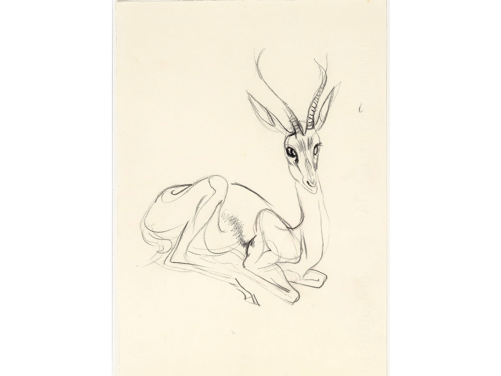 Ludwig Heinrich Jungnickel, Wunsiedel 1881 - 1965 Vienna: Ludwig Heinrich JungnickelWunsiedel 1881 - 1965 Vienna AntelopePastel chalk on paper33 x 24 cm, framed 59 x 50 cm