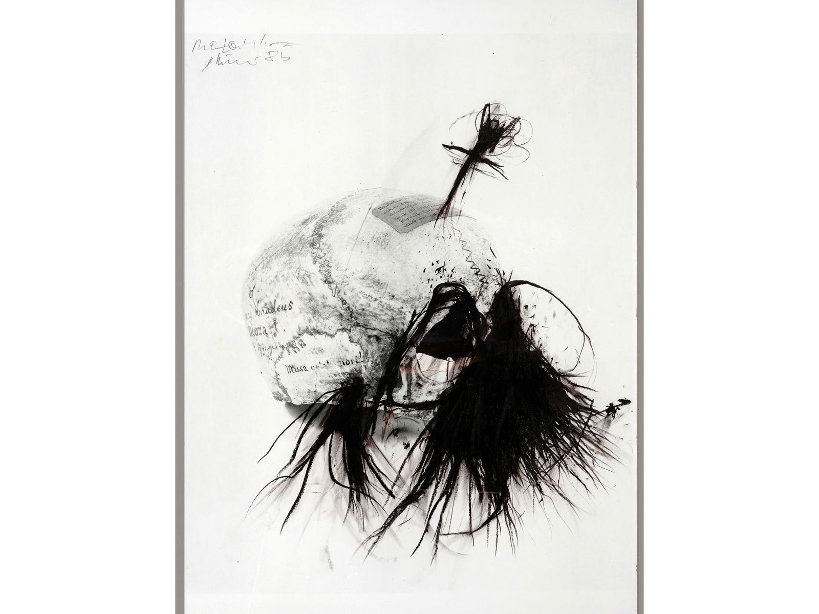 Arnulf Rainer, Born 1929 in Baden near Vienna: Arnulf RainerBorn 1929 in Baden near Vienna SkullPrint on paper60 x 50 cm, framed 94 x 63 cmSigned on top left