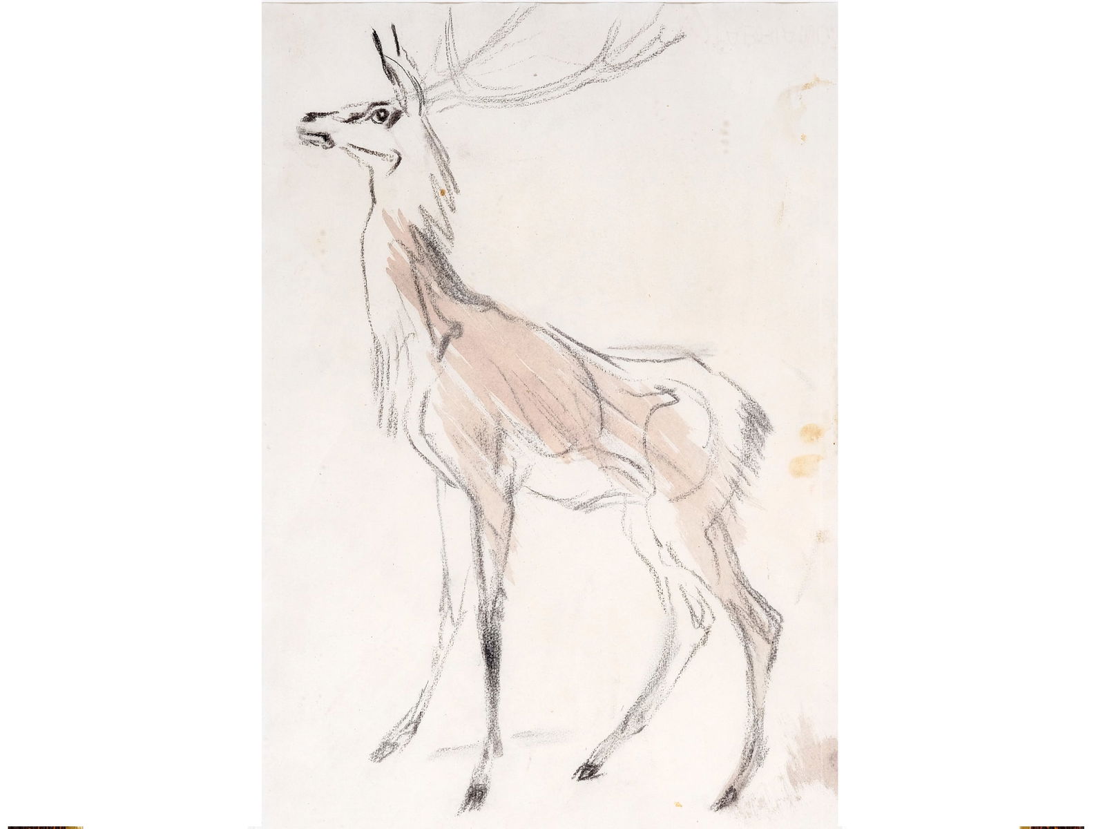 Ludwig Heinrich Jungnickel, Wunsiedel 1881 - 1965 Vienna: Ludwig Heinrich Jungnickel Wunsiedel 1881 - 1965 Vienna Deer Mixed media on paper 46 x 33.5 cm, framed 73 x 59 cm estate stamp on the reverse Ludwig Heinrich Jungnickel Wuns