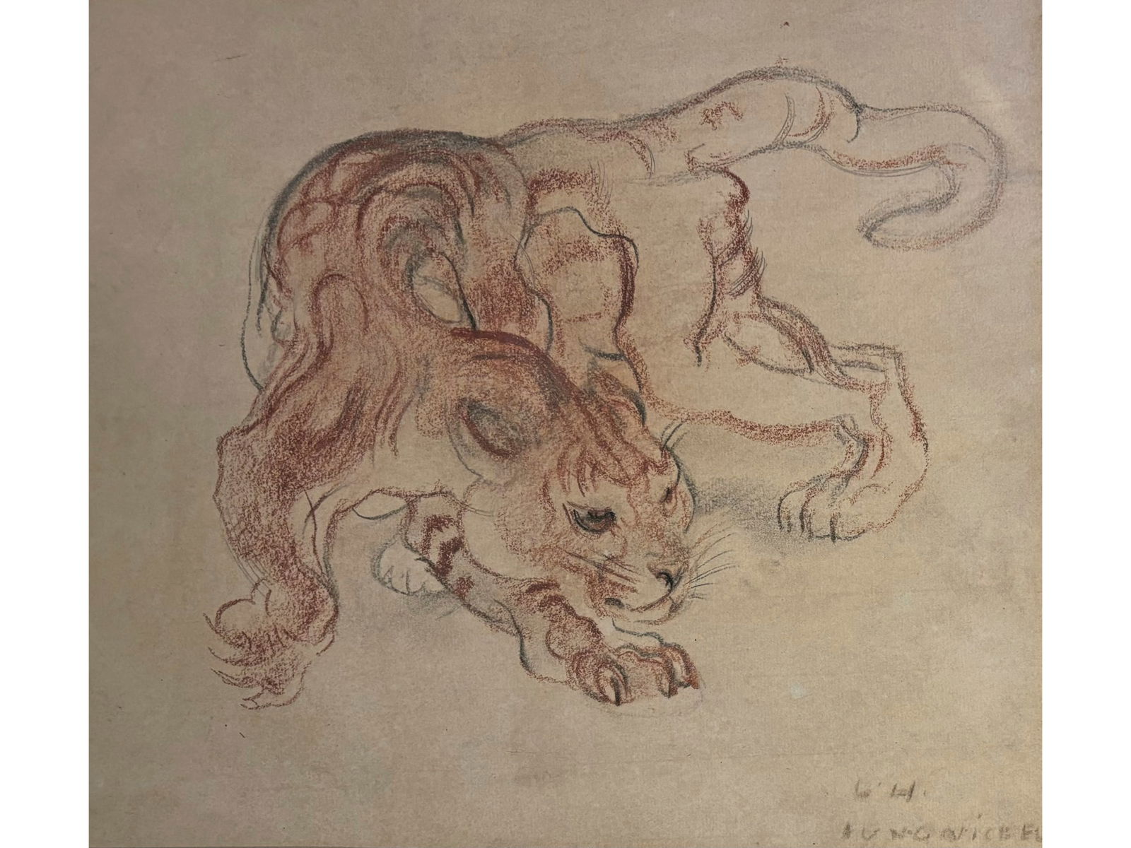 Ludwig Heinrich Jungnickel, Wunsiedel 1881 - 1965 Vienna: Ludwig Heinrich Jungnickel Wunsiedel 1881 - 1965 Vienna Puma Charcoal and chalk on paper 32 x 36 cm signed lower right Ludwig Heinrich Jungnickel Wunsiedel 1881 – 1965
