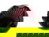 item-209541698=2