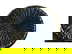 item-209541698=3