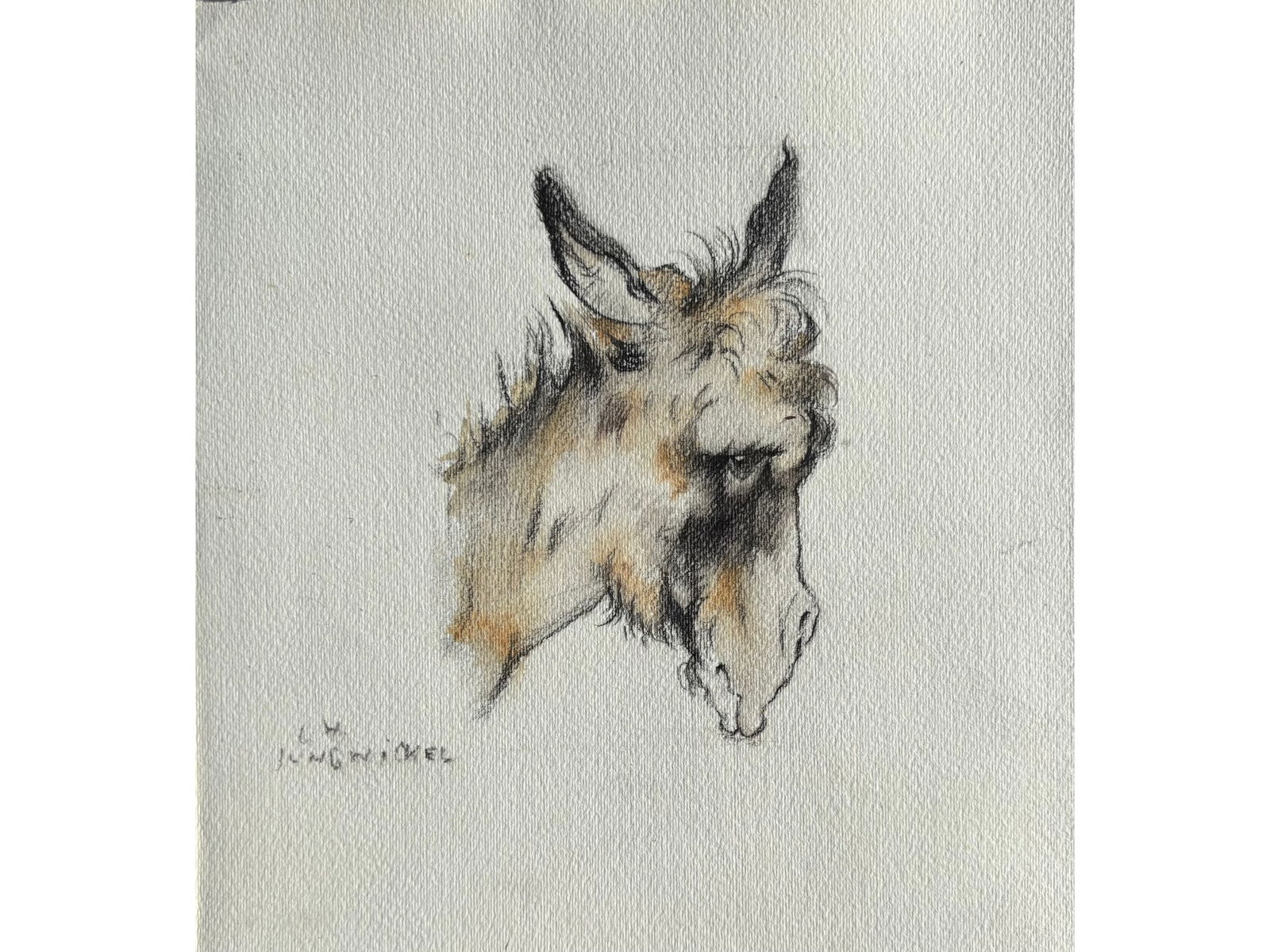 LUDWIG HEINRICH JUNGNICKEL, WUNSIEDEL 1881 - 1965 VIENNA: Ludwig Heinrich JungnickelWunsiedel 1881 - 1965 ViennaPortrait of a DonkeyCharcoal and watercolor on Fabriano paperSigned lower left28 x 24 cm, with frame 32 x 28 cm