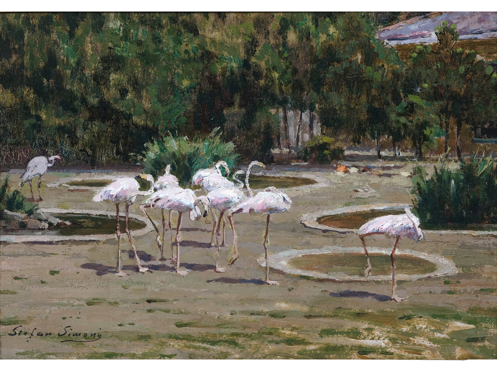 STEFAN SIMONY, 1860 - 1950 (1 of 5)