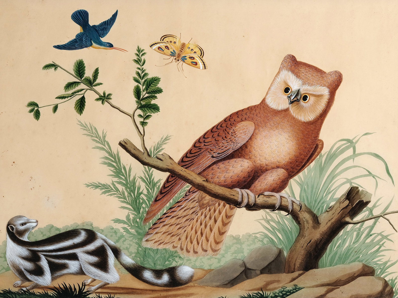 CARLO ANTONIO RAINERI, 1765 - 1826 (1 of 5)