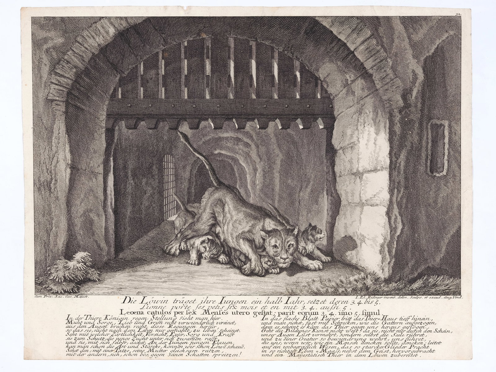 JOHANN ELIAS RIDINGER, 1698 - 1767 (1 of 6)