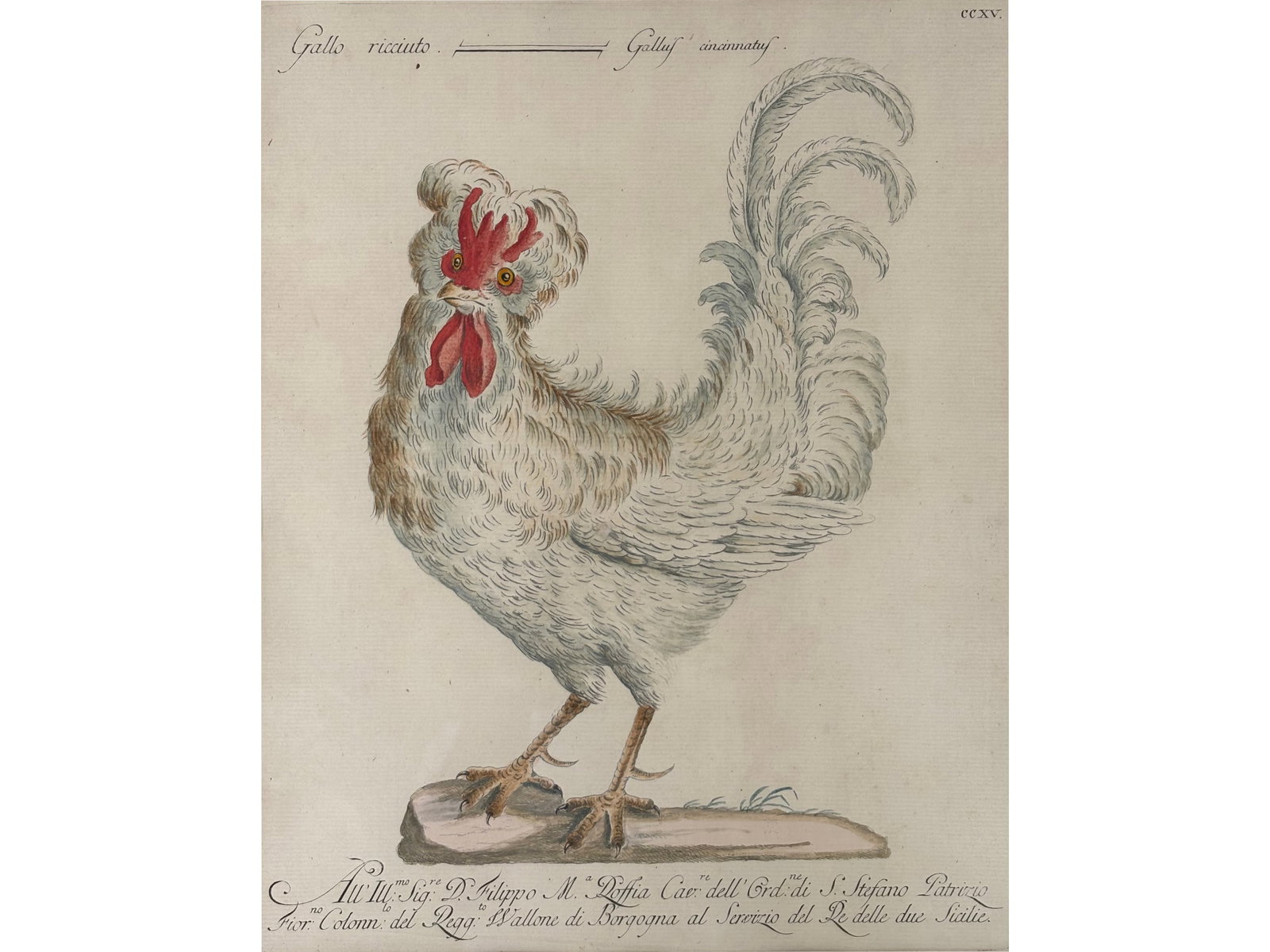 SAVERIO MANETTI, BROZZI 1723 - 1784 BROZZI (1 of 3)